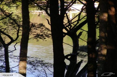 Photo of property in 19 James Kemp Place, Kerikeri, 0230