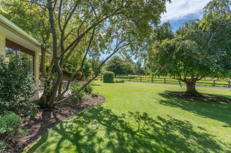 Photo of property in 19 Tirohanga Road, North Taieri, Mosgiel, 9092