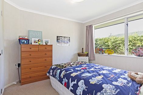 Photo of property in 513 Ferguson Street, Palmerston North, 4410