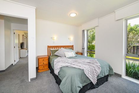 Photo of property in 115 Winchester Street, Ashhurst, 4810