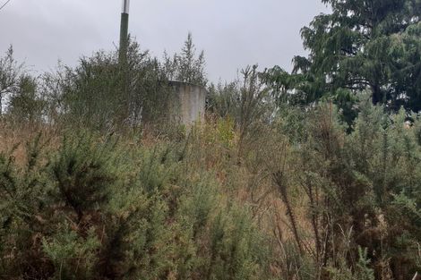 Photo of property in 561 Palmerston-waikouaiti Road, Goodwood, Palmerston, 9481