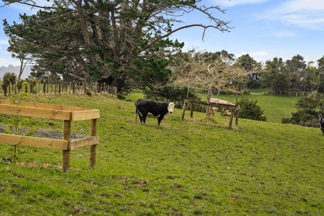 Photo of property in 167 Anderson Road, Helensville, 0875