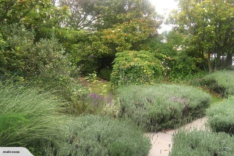 Photo of property in 56 Erris Street, Cromwell, 9310