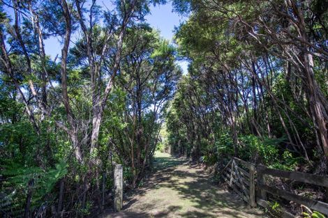 Photo of property in 537 Manawaora Road, Parekura Bay, Russell, 0184