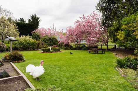 Photo of property in 108 Limeworks Road, Circle Hill, Milton, 9291