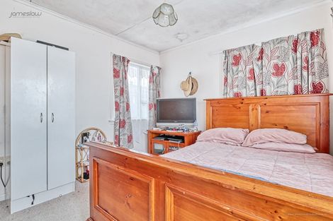 Photo of property in 50 Webster Avenue, Mount Roskill, Auckland, 1041