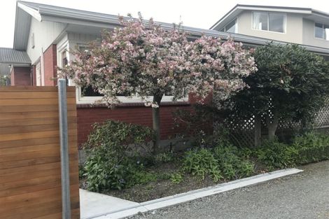 Photo of property in 53 Papanui Road, Merivale, Christchurch, 8014