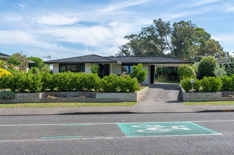 Photo of property in 173 Flaxmere Avenue, Flaxmere, Hastings, 4120