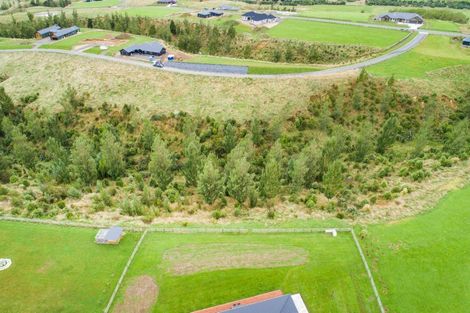 Photo of property in 117 Kingsdale Park Drive, Aokautere, Palmerston North, 4471