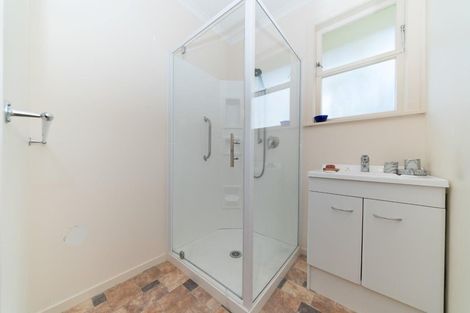 Photo of property in 144 Limbrick Street, Terrace End, Palmerston North, 4410