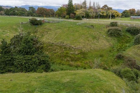 Photo of property in 60 Lindsay Road, Levin, 5510