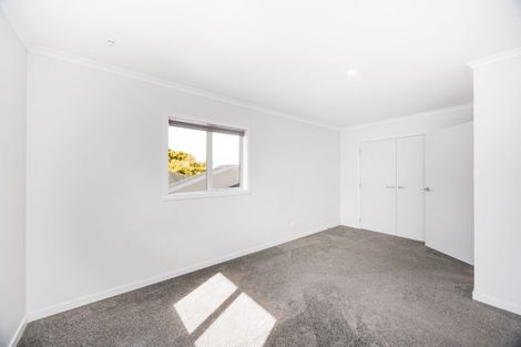 Photo of property in 47 Karina Terrace, Roslyn, Palmerston North, 4414