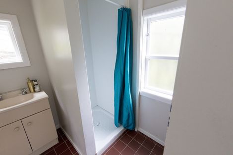 Photo of property in 52 Norway Street, Aro Valley, Wellington, 6012