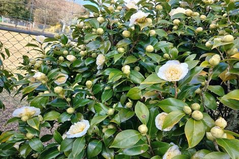 Photo of property in 6534 Matawai Road, Matawai, 4075