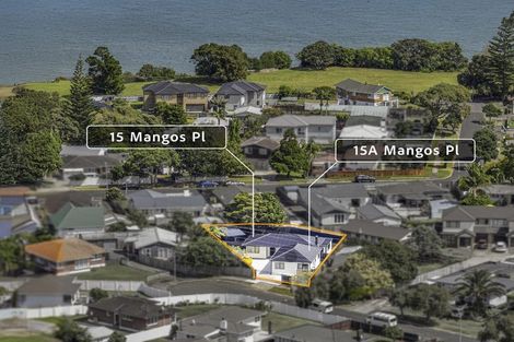 Photo of property in 15 Mangos Place, Pakuranga, Auckland, 2010