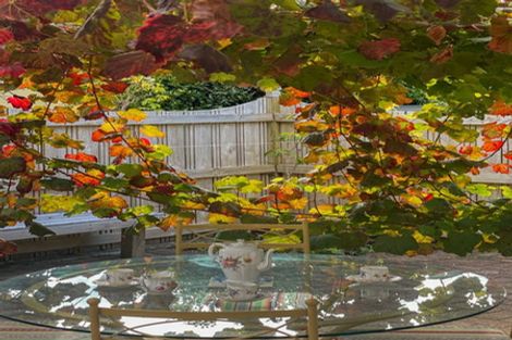 Photo of property in 3 Kildonan Place, Bethlehem, Tauranga, 3110