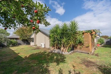 Photo of property in 10 Maidstone Place, Rototuna North, Hamilton, 3210