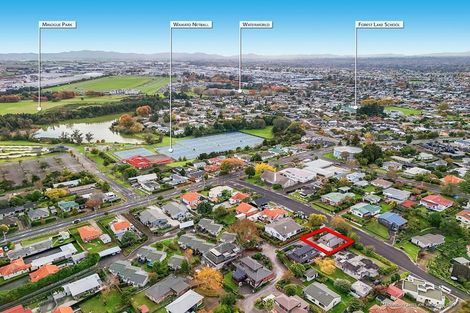 Photo of property in 49 Carey Street, Maeroa, Hamilton, 3200