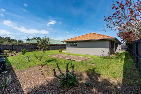 Photo of property in 17 Burgundy Court, Rototuna, Hamilton, 3210