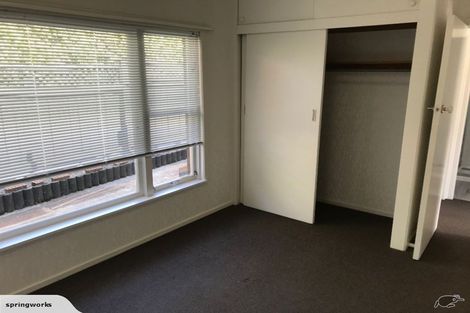 Photo of property in 22 Bowling Avenue, Epsom, Auckland, 1023