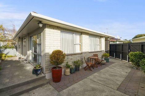 Photo of property in 24b Fitzherbert Avenue, Springvale, Whanganui, 4501