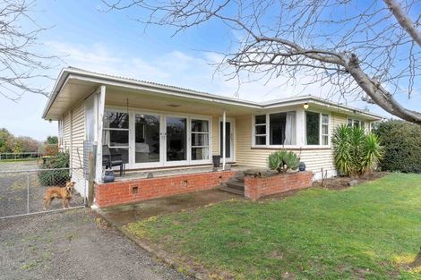 Photo of property in 19 Solway Crescent, Solway, Masterton, 5810