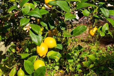 Photo of property in 630 Claverley Road, Hundalee, Cheviot, 7384