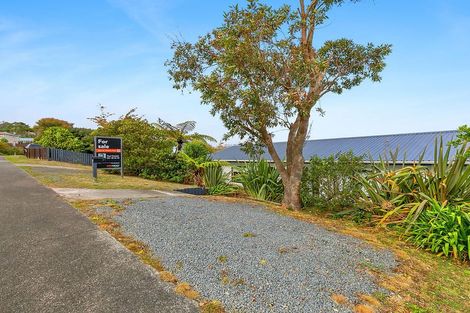 Photo of property in 17 Omapere Street, Whitby, Porirua, 5024