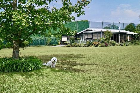 Photo of property in 3 Donelle Place, Te Puke, 3119