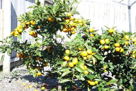 Photo of property in 80 Glenveagh Park Drive, Weymouth, Auckland, 2103