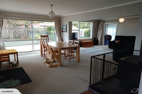 Photo of property in 207 Middle Road, Allenton, Ashburton, 7700