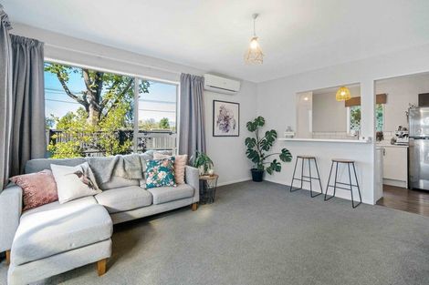 Photo of property in 1/53 Mathesons Road, Phillipstown, Christchurch, 8011