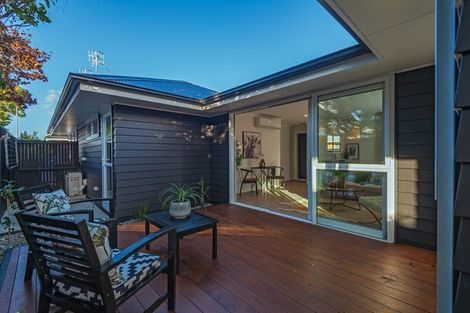 Photo of property in 17b Alfred Street, Roslyn, Palmerston North, 4414