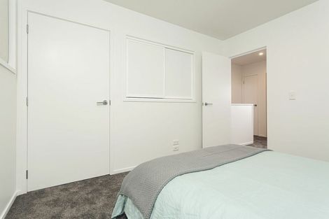 Photo of property in 21 Bings Lane, Richmond, Christchurch, 8013