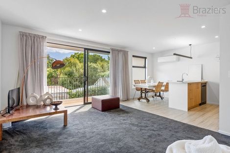 Photo of property in 6/55 Mathesons Road, Phillipstown, Christchurch, 8011