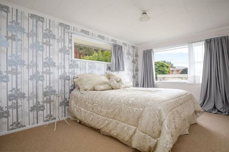 Photo of property in 107 Branxholm Street, Roxburgh, 9500