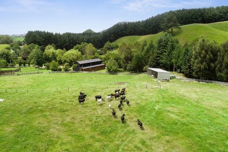 Photo of property in 1765 Tutukau Road, Ohakuri, Reporoa, 3083