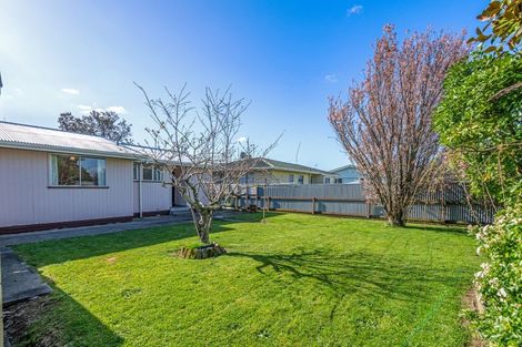 Photo of property in 21 Dampier Avenue, Awapuni, Palmerston North, 4412