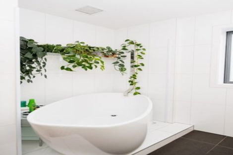 Photo of property in 221b Ponsonby Road, Ponsonby, Auckland, 1011