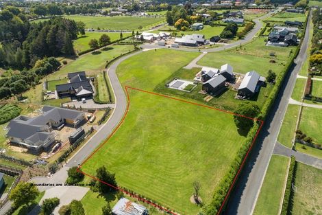 Photo of property in 1 Waimanu Lane, Bethlehem, Tauranga, 3110