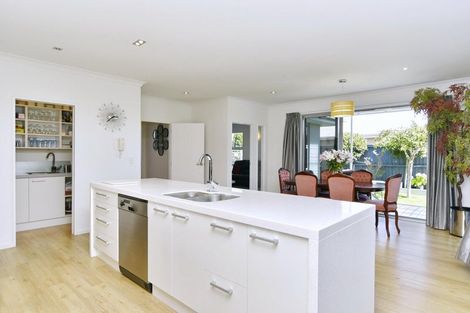 Photo of property in 21 Sovereign Boulevard, Kaiapoi, 7630