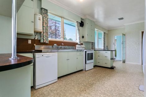 Photo of property in 133 Overdale Road, Putaruru, 3483