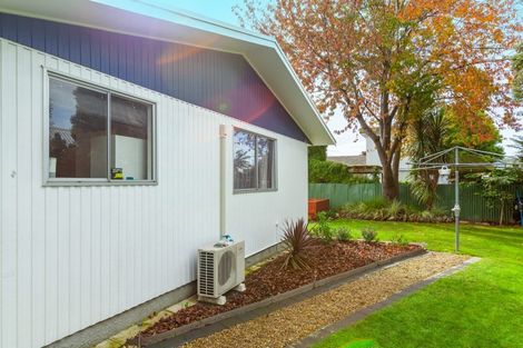 Photo of property in 1029b Konini Street, Mahora, Hastings, 4120