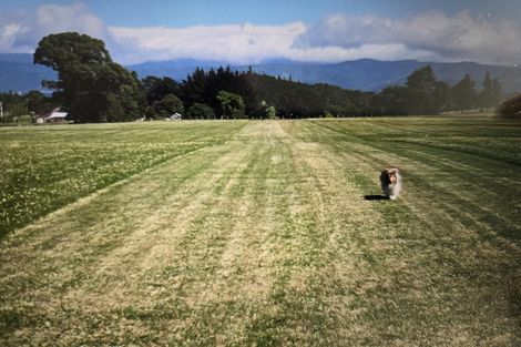 Photo of property in 11 Ahiaruhe Road, Ahiaruhe, Carterton, 5792