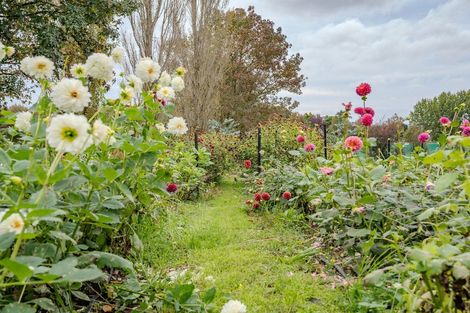 Photo of property in 47a Walters Road, Karaka, Papakura, 2580