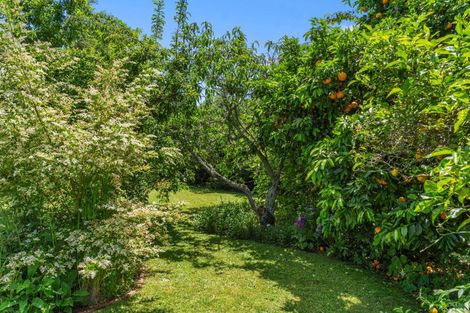 Photo of property in 4 Henton Street, Te Aroha, 3320