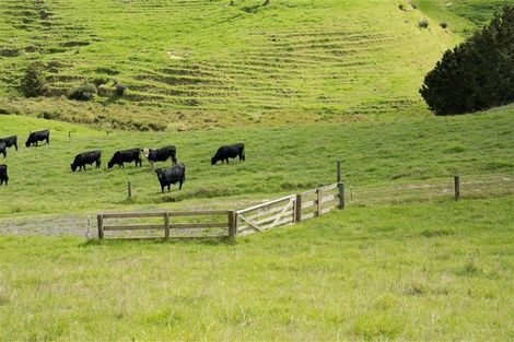 Photo of property in 67 Fraser Road, Kawakawa, 0210