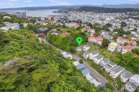 Photo of property in Trinity Newman, 56 Adams Terrace, Aro Valley, Wellington, 6021