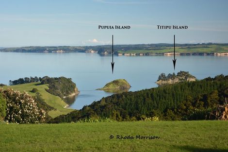 Photo of property in 986 Tinopai Road, Tinopai, Matakohe, 0593