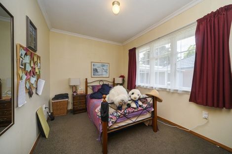 Photo of property in 25 Limbrick Street, Terrace End, Palmerston North, 4410